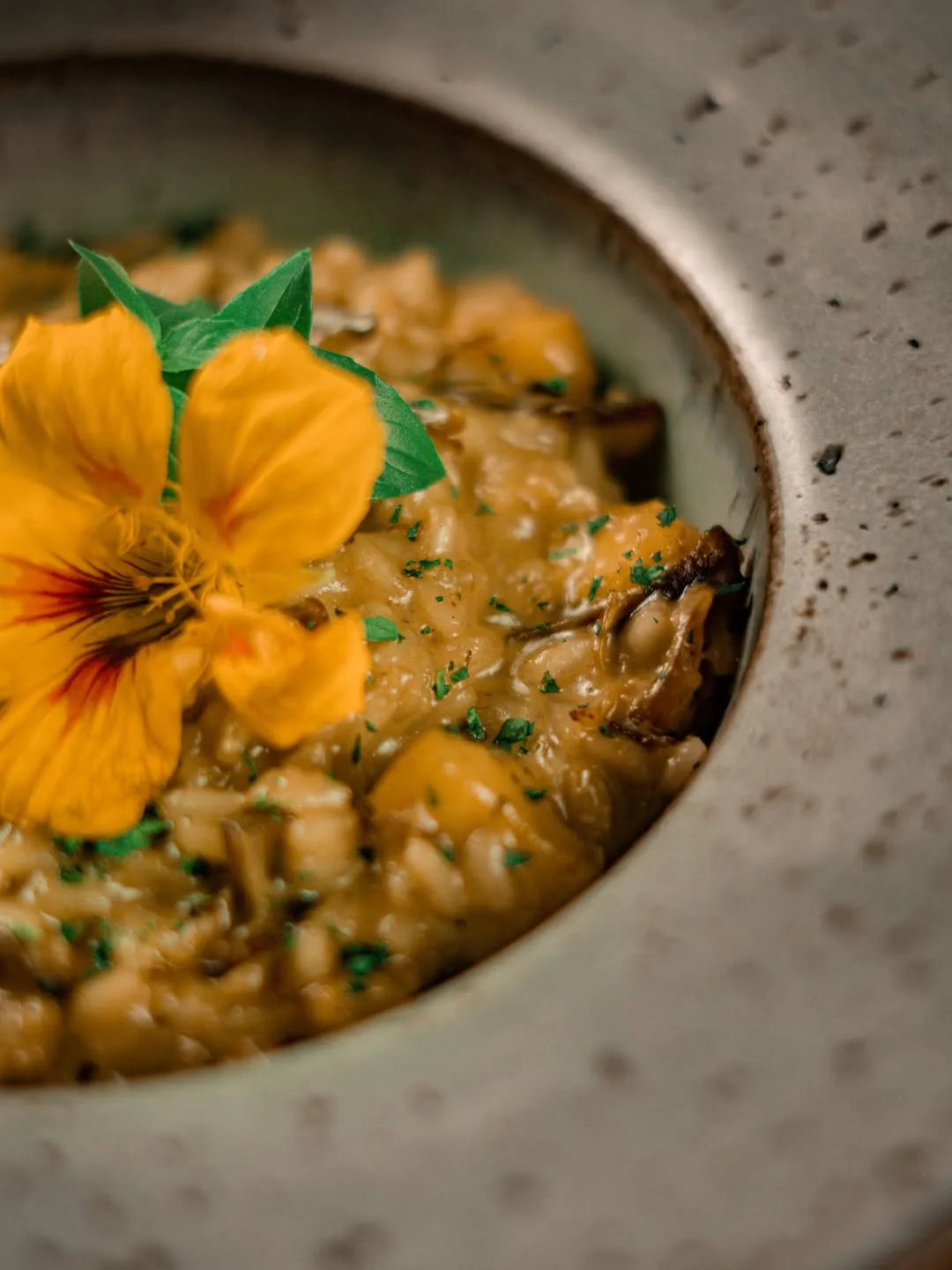 517387840_18397789051141594_7216731596586835470_n Detália Restaurante